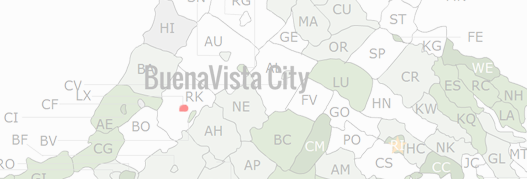 Buena Vista City County Map