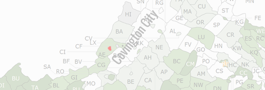Covington City County Map